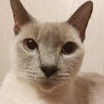 Nancy Gregg Bice - @bicenancy - Instagram