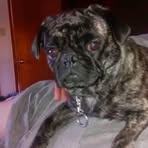 Nancy Beckett - Facebook