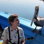 Nancy Bicknell Brenner - @brennernancy - Instagram