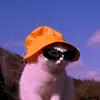 LuLu Bia - @nancybien3 - TikTok