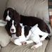 Nancy Bigelow - Facebook