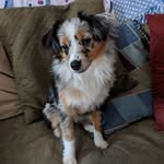 Nancy Bigelow - @nancybigelow5 - Instagram