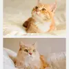 cute 🥰 - @nancycabilessalva - TikTok