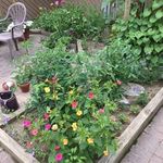 Nancy Bingaman - @bingamannancy - Instagram