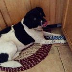 Nancy Binns Fraser - @nancybfraser43 - Instagram