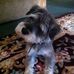 Nancy Bivins - Facebook