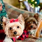 Nancy Blackmon - Facebook
