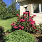 Nancy Blackstone - Facebook