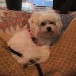 Nancy Blackwell - @nancyblackwell114 - Instagram