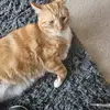 Nancy Blackwell - @nancy.blackwell0 - TikTok