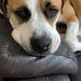 Nancy Blais - Facebook