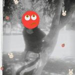 @Nancy blais beyby - @nancyblaisbeyby - Instagram