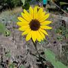 Nancy Brunt-Blakeman - @user176020516 - TikTok