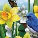 Nancy Blalock - Facebook