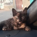 Nancy Blank - @nancynk77 - Instagram