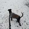 nancyblassingame - @nancyblassingame - TikTok
