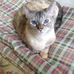 Nancy Blizzard Willey - Facebook
