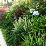 Nancy Bloch Landscape Design - @nancyblochlandscapedesigns - Instagram