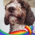 Nancy Boden - @nancy.boden.790 - Instagram