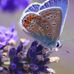 Nancy Bodin - Facebook
