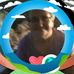 Nancy Boeck - Facebook