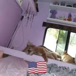 Nancy Boeckel - @nancy.boeckel - Instagram