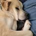 Nancy Boettcher - Facebook