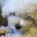 Nancy Boettcher - Facebook