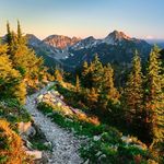 Nancy Bogert - @nancy.bogert495 - Instagram