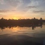 Nancy Bogert - @bogertnancy - Instagram