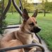 Nancy Boggs - Facebook