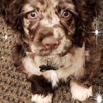 Nancy Boggs - @nancy.boggs.476 - Instagram