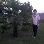 Nancy Bohl - Facebook