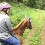 Acu-pet Nancy Bohman DVM CVA - @nancybohmandvmcva - Instagram