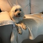 Nancy A. Bohman - @nancya.bohman - Instagram