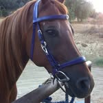 Nancy Bohman - @steffnerbohman - Instagram