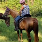 Nancy Steffner-Bohman - Facebook