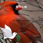 Nancy Bolden - @nancybolden - Instagram