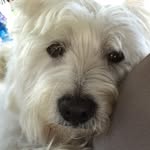 Nancy Boles - @trespink1 - Instagram