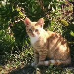 Nancy Bollinger - @nancybollinger - Instagram