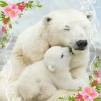 Nancy Bolon - Facebook
