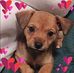 Nancy Boltz - Facebook