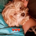 @nancybones2021 - Instagram