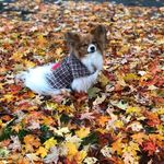 Nancy Bonomo - @nancybonomo47 - Instagram