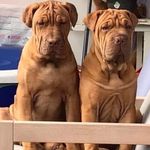 Nancy Boon - @nancytje13 - Instagram
