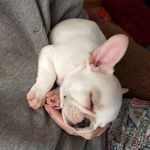 Nancy Boone - @nancyboone794 - Instagram