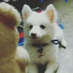 Nancy Borah - @borah_nancy - Instagram