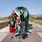 Nancy Borgert - Facebook
