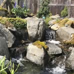 Nancy Borgert - Facebook