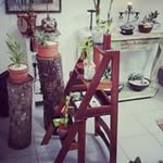 Henrry Borrero Nancy Chacón - @henrryborreronancycha - Instagram